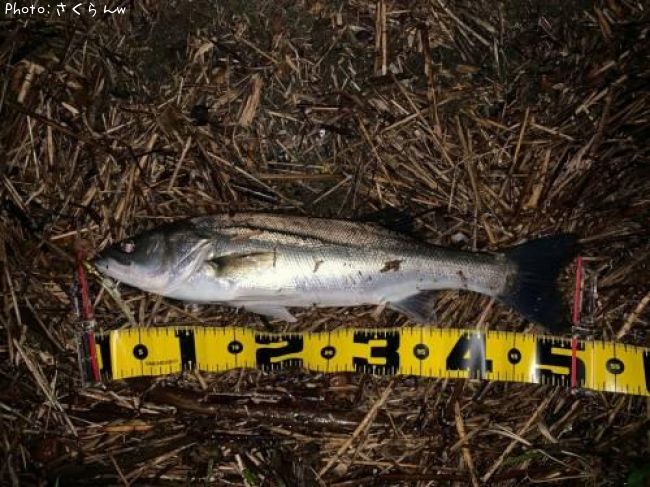 �����Х�