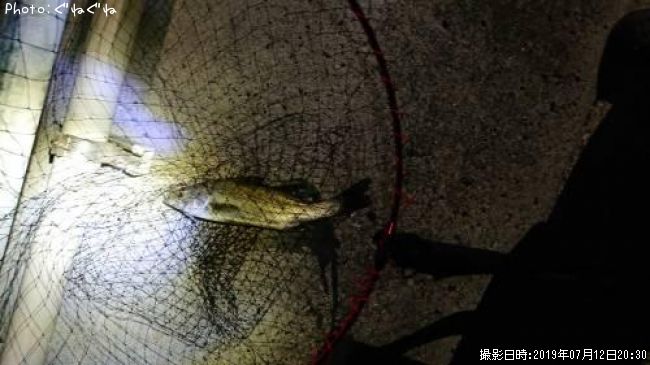 �����Х�