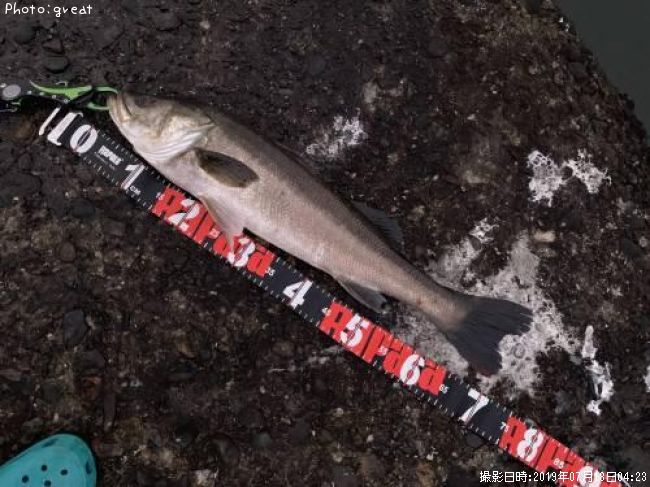 �����Х�