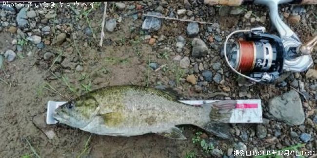 �֥�å��Х�