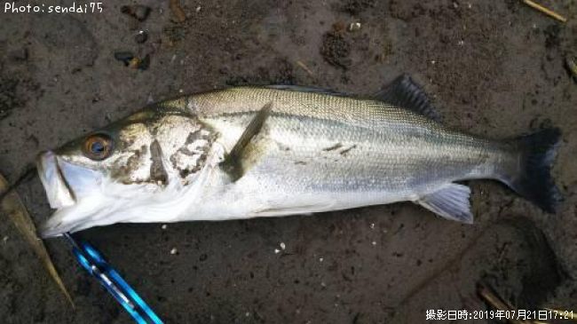 �����Х�