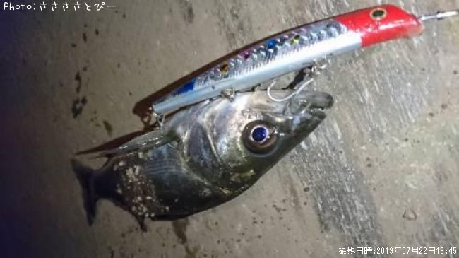 �����Х�