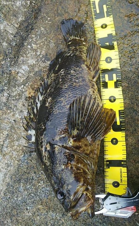 �����Υ���Х�