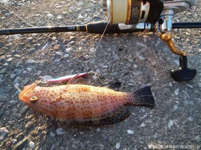 �������ϥ�