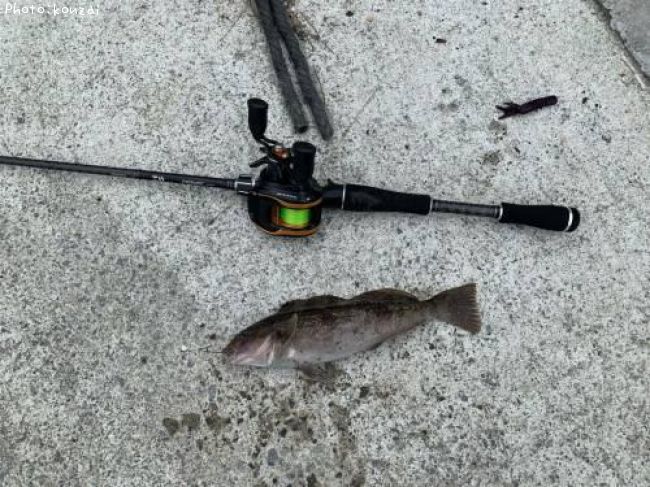 �����ʥ�