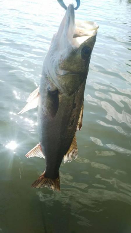 �����Х�