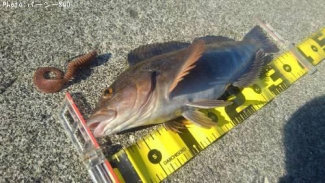 �����ʥ�