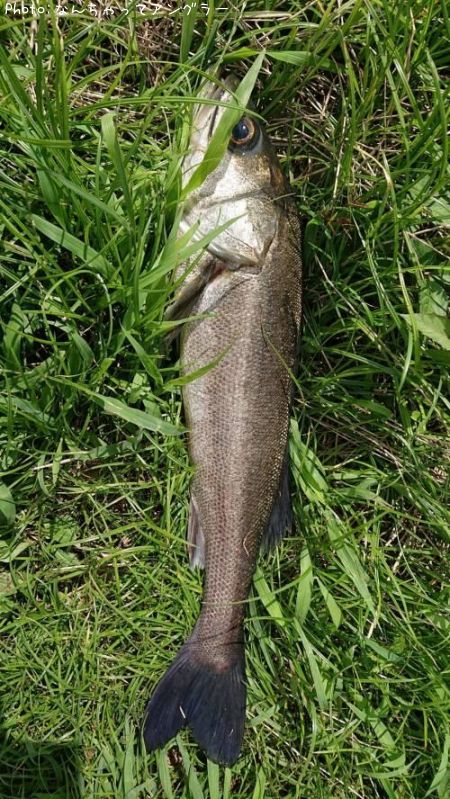 �����Х�