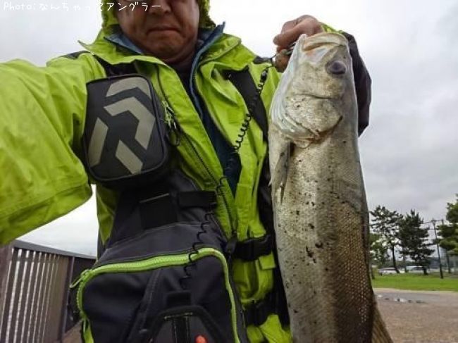 �����Х�