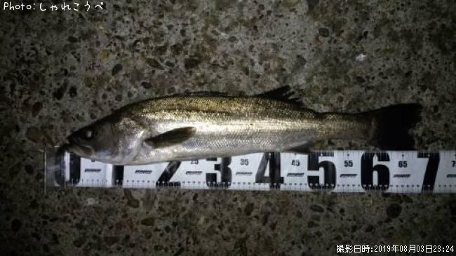 �����Х�