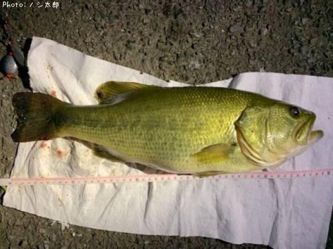 �֥�å��Х�