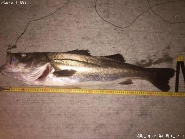 �����Х�