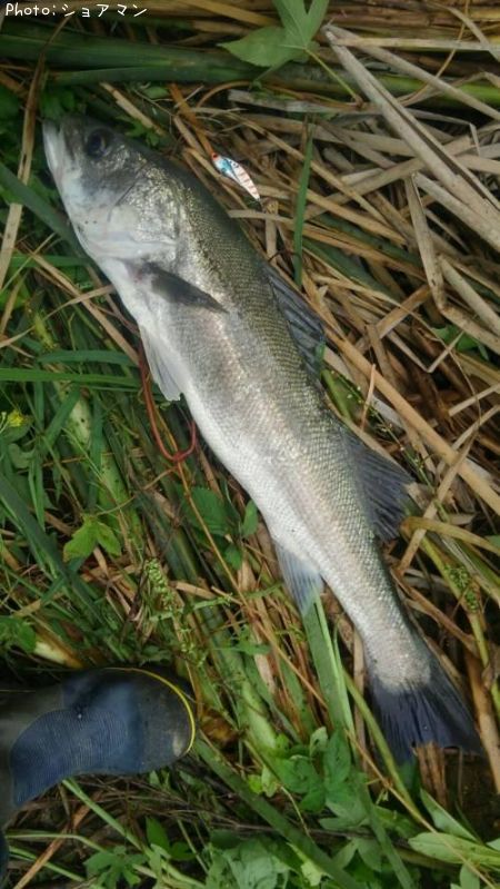 �����Х�