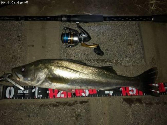 �����Х�