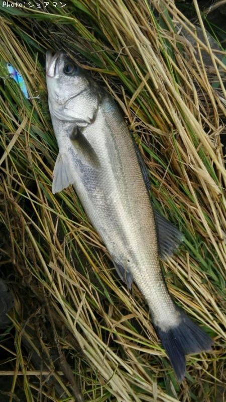 �����Х�