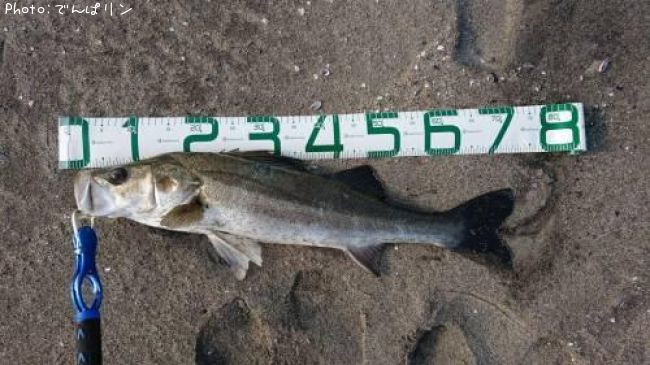 �����Х�