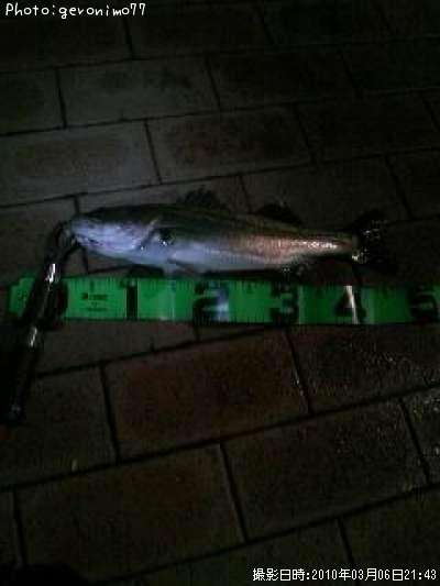 �����Х�