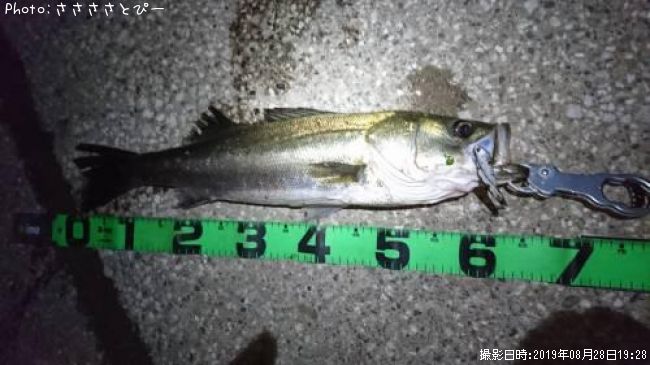 �����Х�