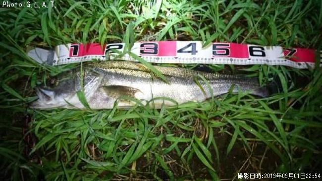 �����Х�