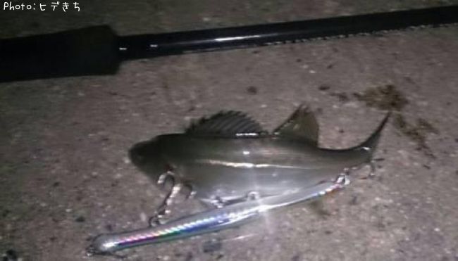 �����Х�