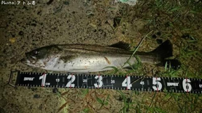 �����Х�