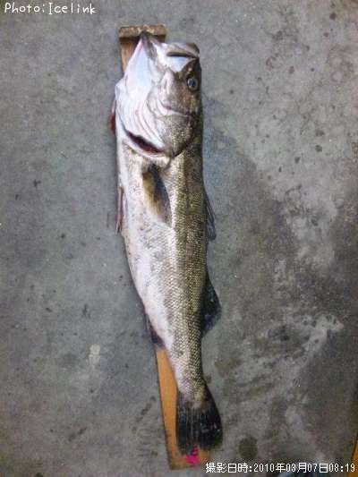 �����Х���