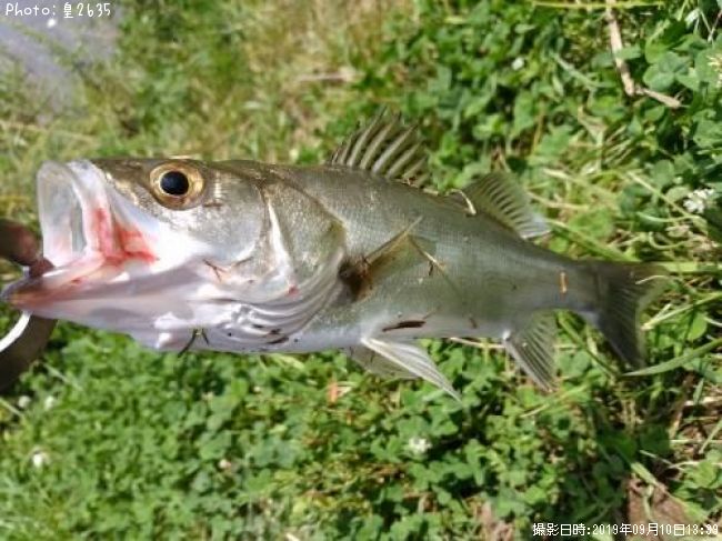 �����Х�