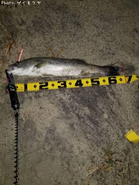 �����Х�