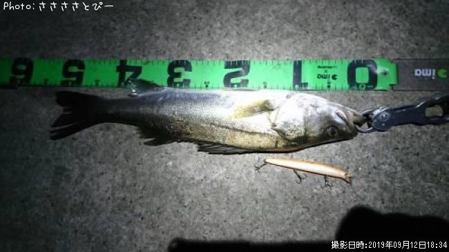 �����Х�