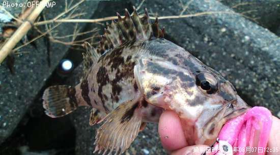 �����Υ���Х�