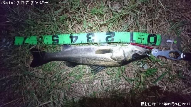 �����Х�