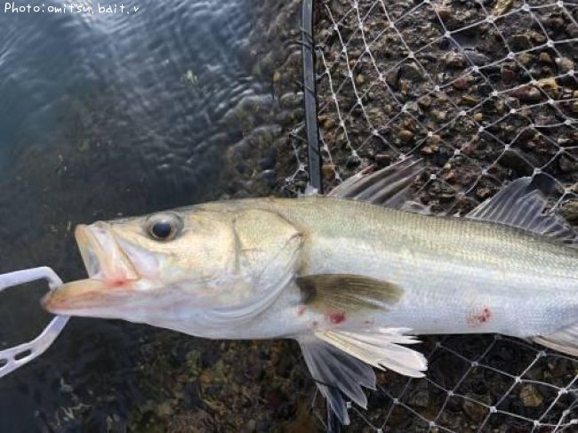 �����Х�