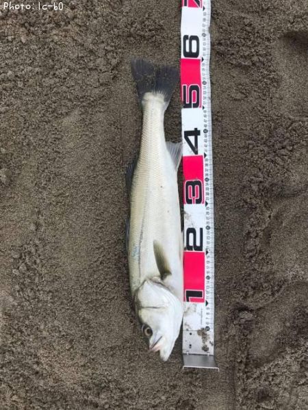 �����Х�