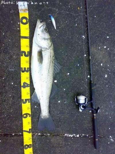 �����Х�