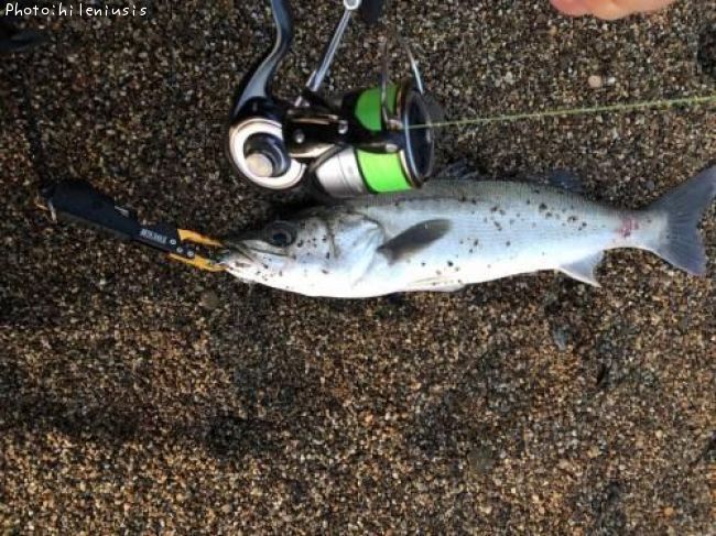 �����Х�