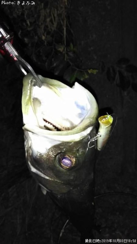 �����Х�