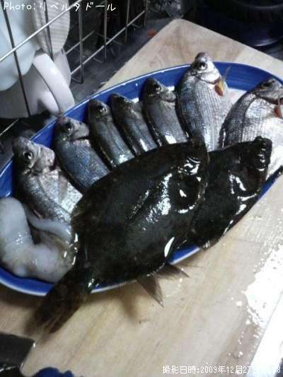 ���ߥ��ʥ�