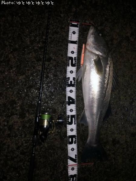 �����Х�