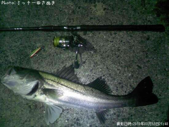 �ޥ륹����