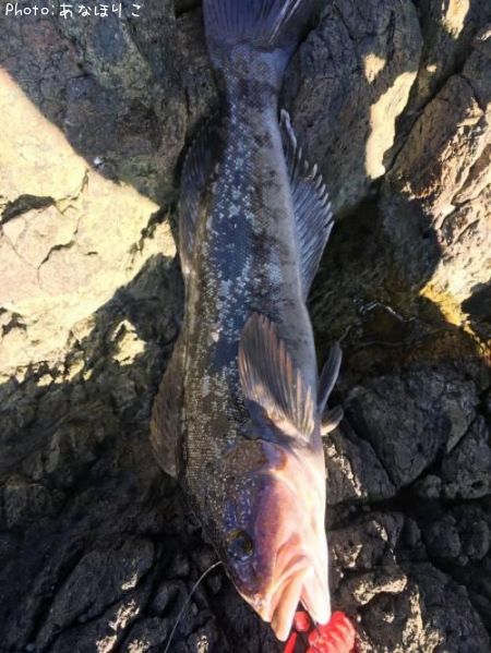 �����ʥ�