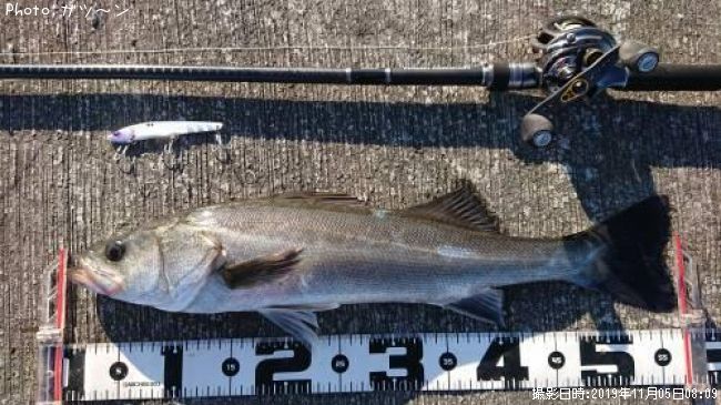 �����Х�