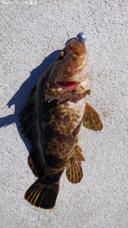 �٥å�������