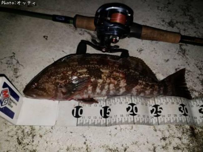 �����ʥ�