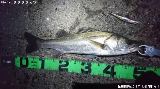 �����Х�