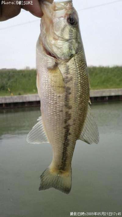 �֥�å��Х�