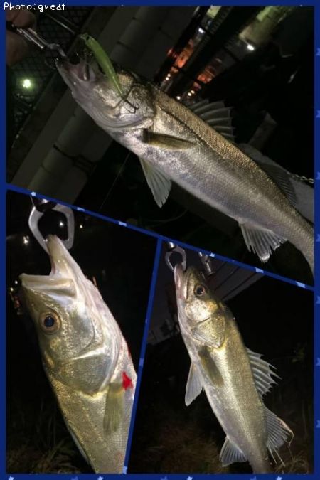 �����Х�