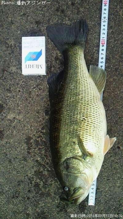 �֥�å��Х�