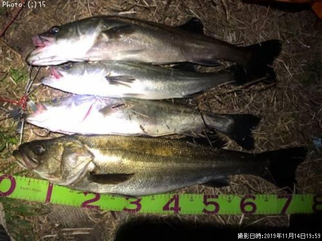 �����Х�����������