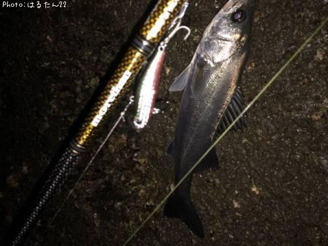 �����Х�