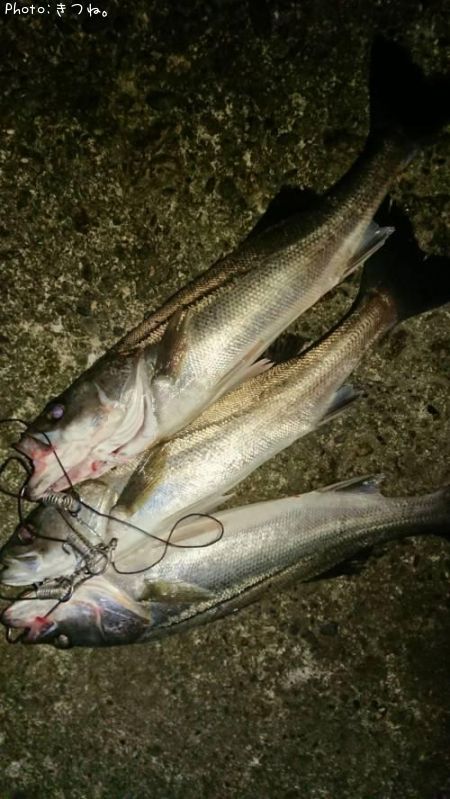 �����Х�